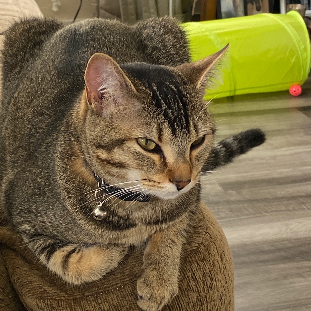 Meet your Posher, Margaret